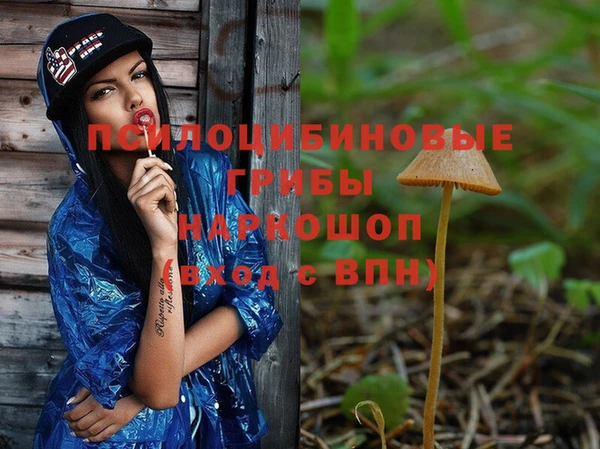 шишки Елабуга