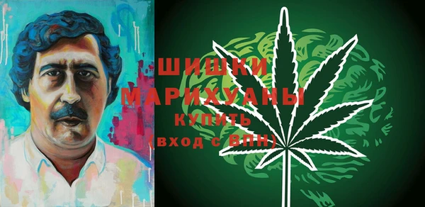 шишки Елабуга